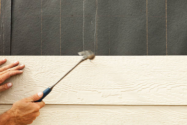 Best Engineered Wood Siding  in USA